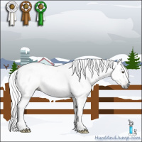Horse Color:Gray Liver Red Dun Roan 