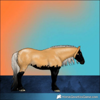 Horse Color:Void Silver Buckskin Dun Splash 