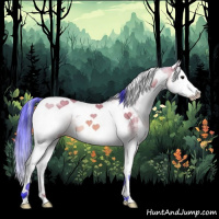 Horse Color:Watercolor White Spotted Bay Splash Tobiano Rabicano