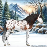 Horse Color:Brown Splash Appaloosa Rabicano 