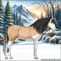 Horse Color:Buckskin Roan Splash Rabicano