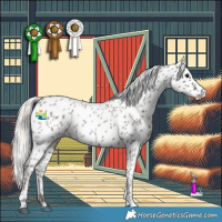 Horse Color:Silver Blue Roan Leopard Rabicano 