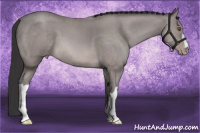 Horse Color:Platinum Sable Champagne Roan 