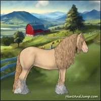 Horse Color:Gold Champagne 