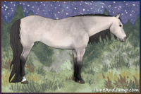 Horse Color:Platinum Buckskin Sabino 