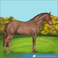 Horse Color:Red Roan 