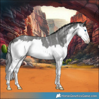 Horse Color:Smoky Blue Ice Roan Splash 
