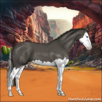 Horse Color:Smoky Blue Roan Splash 