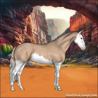 Horse Color:Silver Bay Roan Dun Splash 