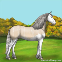 Horse Color:Silver Bay Ice Dun Splash 