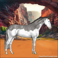 Horse Color:Smoky Blue Ice Roan Splash 