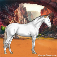 Horse Color:Chestnut Splash Tobiano