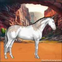 Horse Color:Bay Ice Roan Dun Splash 