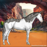 Horse Color:Smoky Black Ice Splash 