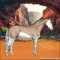 Horse Color:Silver Brown Roan Dun Splash
