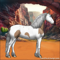 Horse Color:Bay Dun Splash Tobiano 