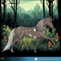 Horse Color:White Spotted Silver Black 