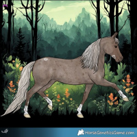 Horse Color:Silver Blue Roan 