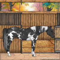 Horse Color:White Spotted Black 