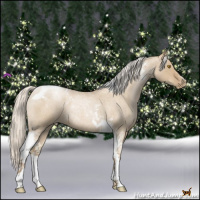 Horse Color:Silver Grullo Roan Pearl Tobiano 
