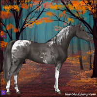 Horse Color:Smoky Black Tobiano 