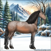 Horse Color:Bay Ice 