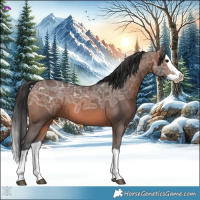 Horse Color:Brown Ice Splash 
