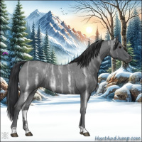 Horse Color:Blue Ice Roan 