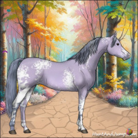Horse Color:Watercolor White Spotted Bay Dun 