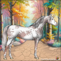Horse Color:Watercolor White Spotted Chestnut 