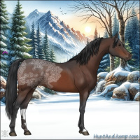 Horse Color:Brown Ice 