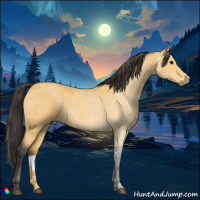 Horse Color:Buckskin Roan 