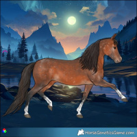 Horse Color:Bay Sabino