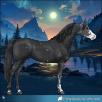 Horse Color:Black Sabino