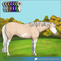Horse Color:Silver Classic Champagne Dun Splash Frame