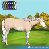 Horse Color:Silver Classic Champagne Dun Splash Frame 