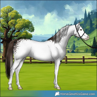 Horse Color:White Spotted Liver Chestnut Sabino 