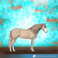 Horse Color:Perlino Sabino 