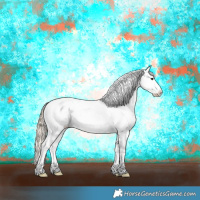 Horse Color:Chocolate Palomino Sabino Splash Near Leopard 