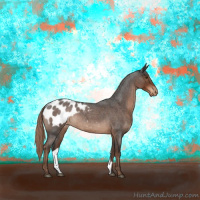 Horse Color:Liver Red Roan Appaloosa