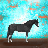 Horse Color:White Spotted Black Tobiano 
