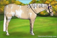 Horse Color:White Spotted Silver Classic Cream Champagne 