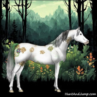 Horse Color:White Spotted Bay Splash 