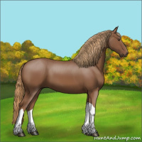 Horse Color:Chestnut Tobiano