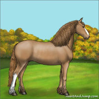 Horse Color:Chestnut Rabicano 