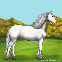 Horse Color:White Spotted Silver Bay Splash 