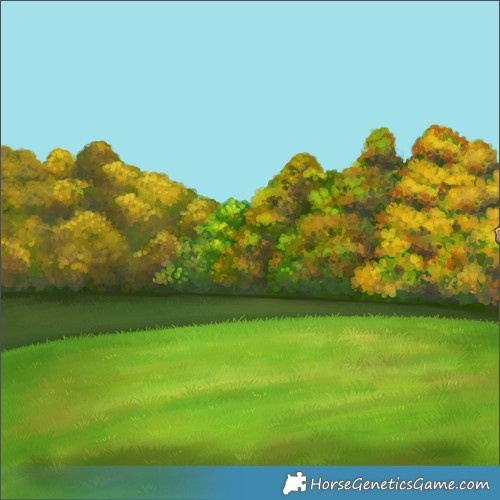 Horse Color:Red Dun Mushroom 