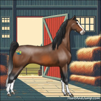 Horse Color:Bay Splash 