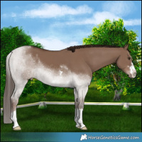 Horse Color:Liver Red Dun 