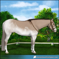 Horse Color:Liver Red Dun 
